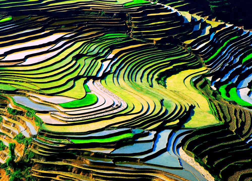 Cultural Landscape of Honghe Hani Rice Terraces